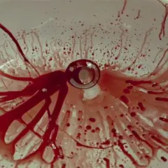 Lavandino bianco macchiato di sangue, con gocce e striature che si dirigono verso lo scarico. Una scena inquietante che potrebbe far pensare a una spiegazione per un evento traumatico, quasi un'immagine da "dogtooth".