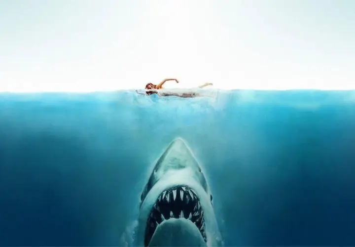 Un bagnante ignaro nuota in superficie, mentre un terrificante squalo si avvicina dal basso. Un'icona del cinema, un vero blockbuster di intrattenimento.