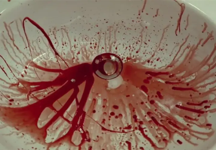 Lavandino bianco macchiato di sangue, con gocce e striature che si dirigono verso lo scarico. Una scena inquietante che potrebbe far pensare a una spiegazione per un evento traumatico, quasi un'immagine da "dogtooth".