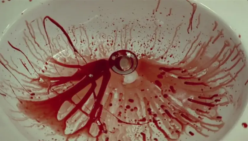 Lavandino bianco macchiato di sangue, con gocce e striature che si dirigono verso lo scarico. Una scena inquietante che potrebbe far pensare a una spiegazione per un evento traumatico, quasi un'immagine da "dogtooth".