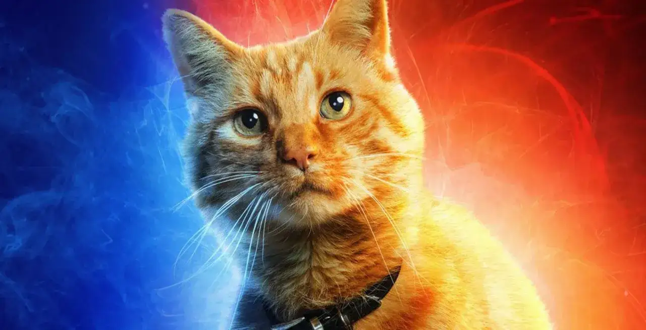 Un gatto rosso, un vero gatto Marvel, con occhi verdi e un collare nero, circondato da fumo blu e rosso.